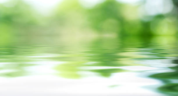 Image de la biodiversité